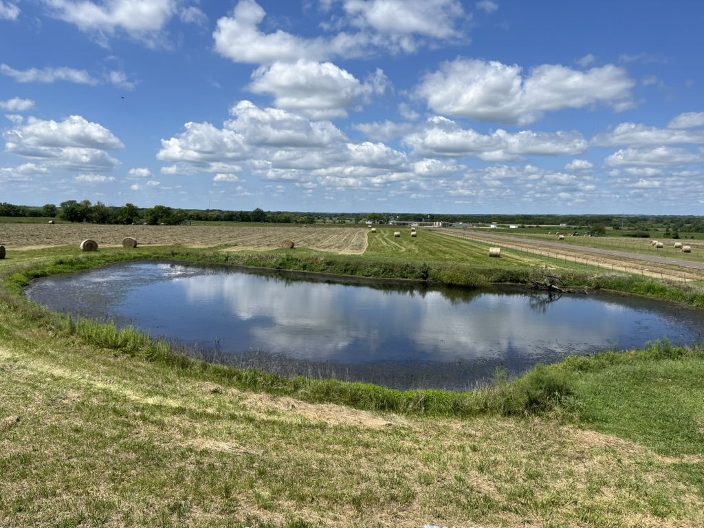 Prescott farm pond before dredging — High Linn Farms