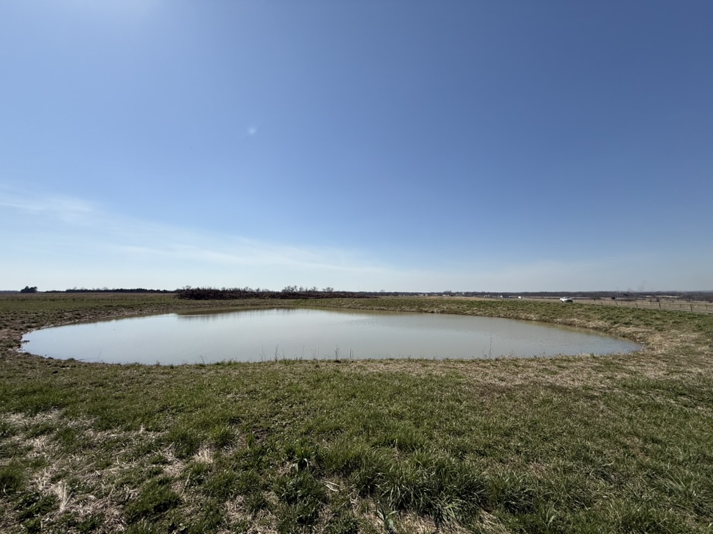 Pond after dredging, fully restored